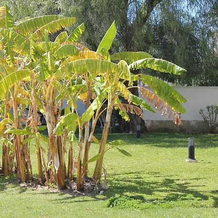 Victoria Lejlighed Vilamoura