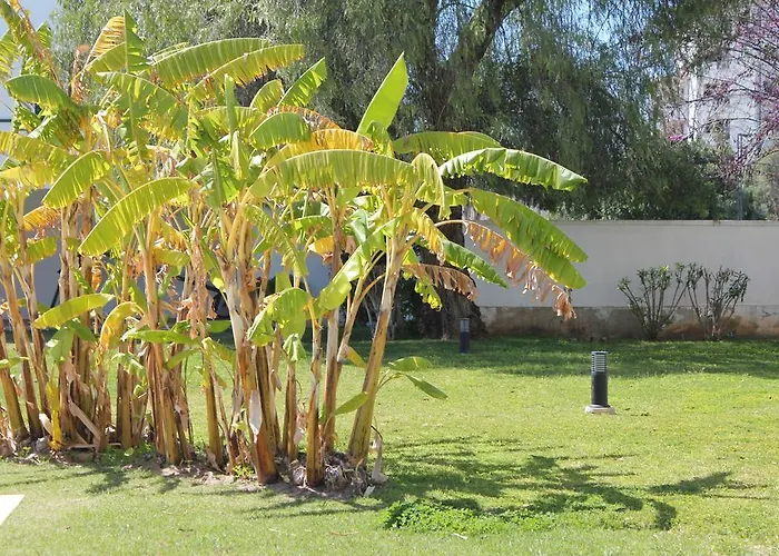 Victoria Apartmán Vilamoura